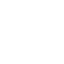 Life Insurance icon